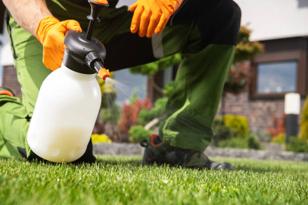 Best Emergency Pest Control  in Sigourney, IA