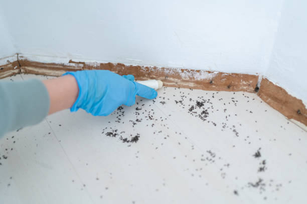 Best Affordable Pest Control Services  in Sigourney, IA