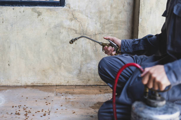 Best Pest Control Cost  in Sigourney, IA